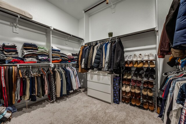 spacious closet featuring carpet flooring