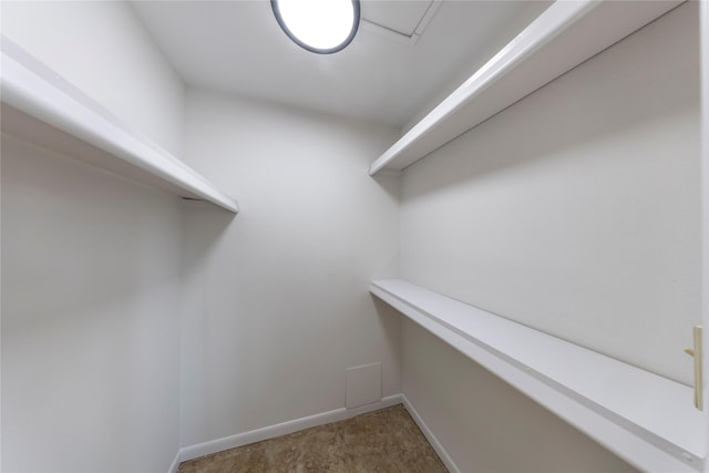 911 Prestwick Ln, Richardson, TX 75080 - walk in closet featuring carpet floors