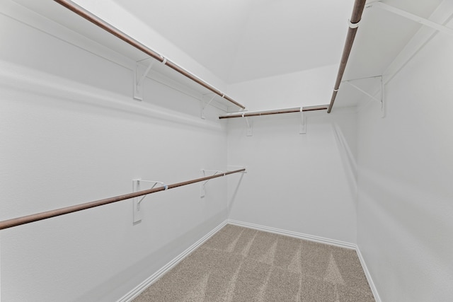 1716 Yarmouth Ln, Mansfield, TX 76063 - walk in closet with light colored carpet