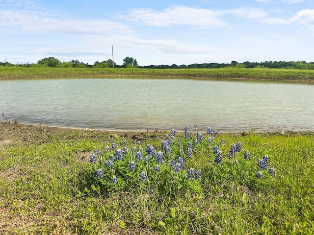 water view