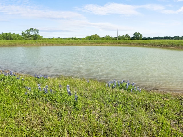 property view of water