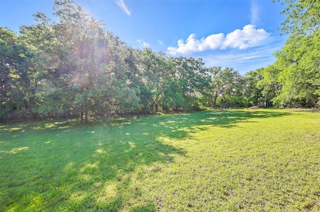 view of yard featuring a view of trees