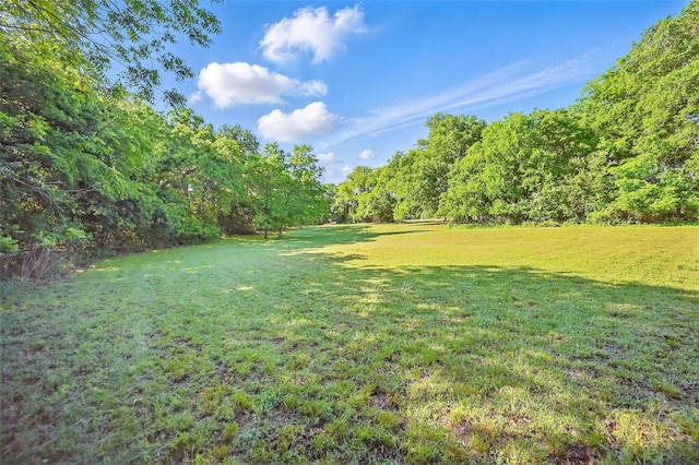 view of yard with a view of trees