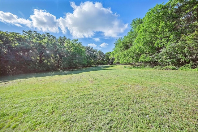 view of yard with a forest view