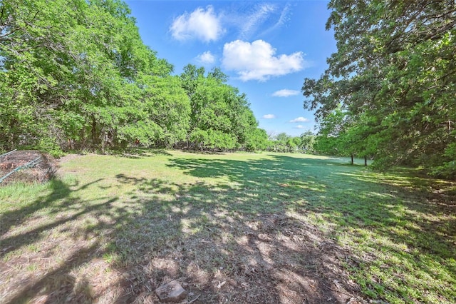 view of yard with a wooded view