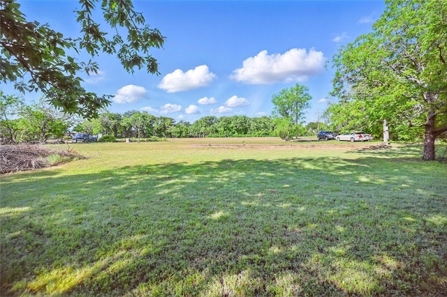 view of yard