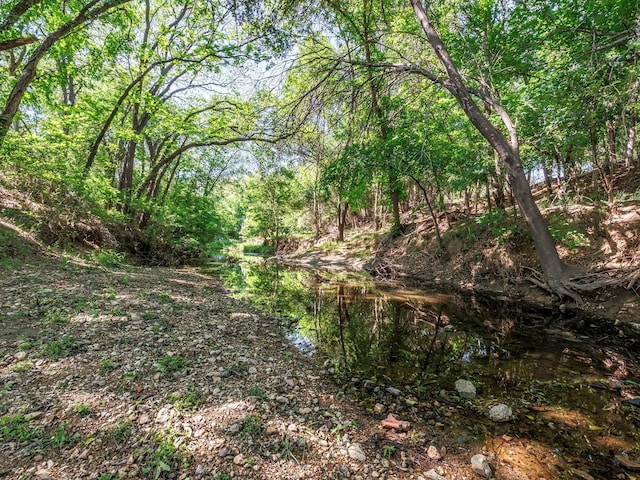 view of local wilderness featuring a wooded view
