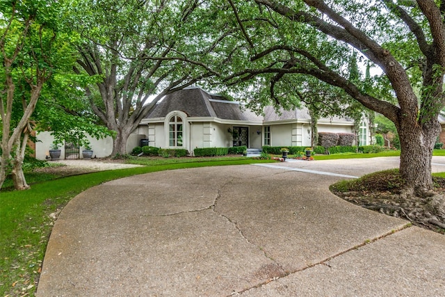 view of front of home with curved driveway, a shingled roof, and stucco siding