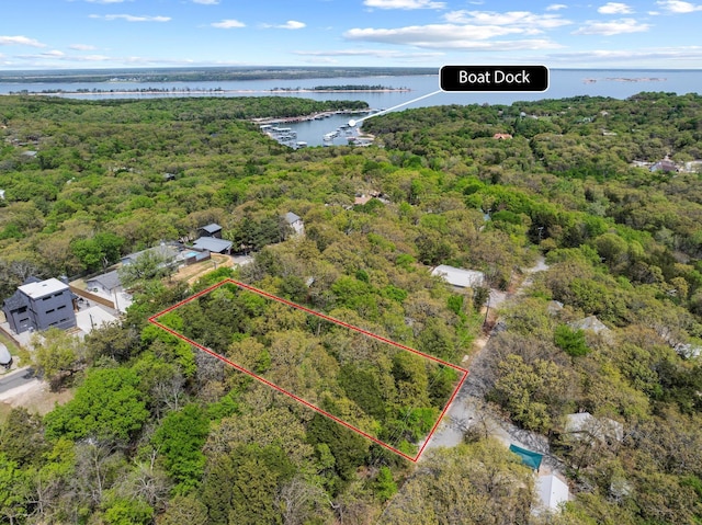 drone / aerial view with a water view and a wooded view