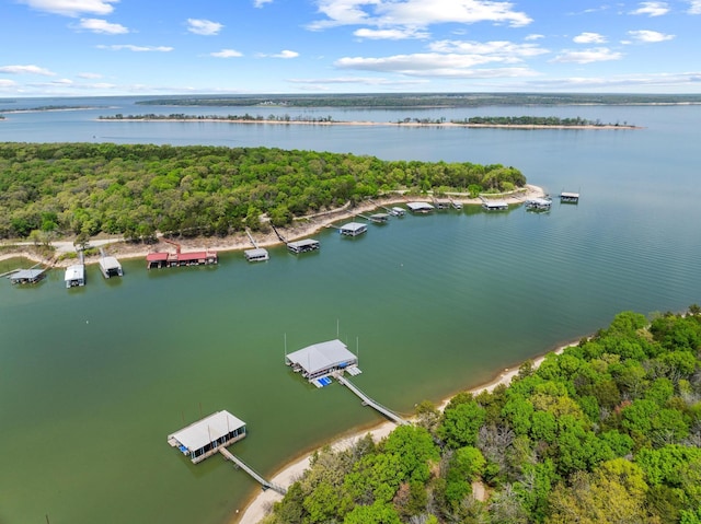 drone / aerial view with a water view and a view of trees