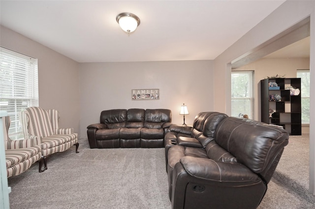 living room with carpet floors and a healthy amount of sunlight