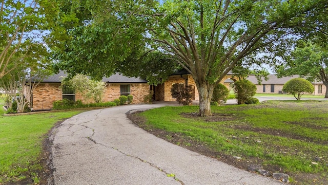 obstructed view of property with a shingled roof, brick siding, a front lawn, and curved driveway