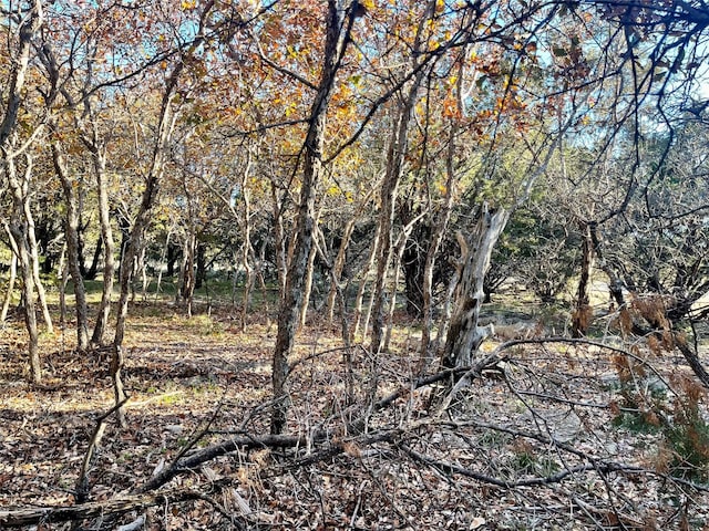 20 Inverness Dr, Possum Kingdom Lake, TX 76449