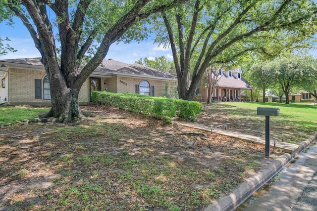 single story home with a front lawn and brick siding