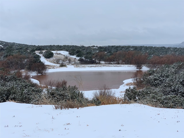 150 Cherokee Hills Ln, Abilene, TX 79606 - view of snowy yard
