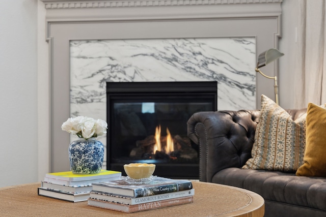 14000 Walsh Ave, Fort Worth, TX 76008 - detailed view of a premium fireplace