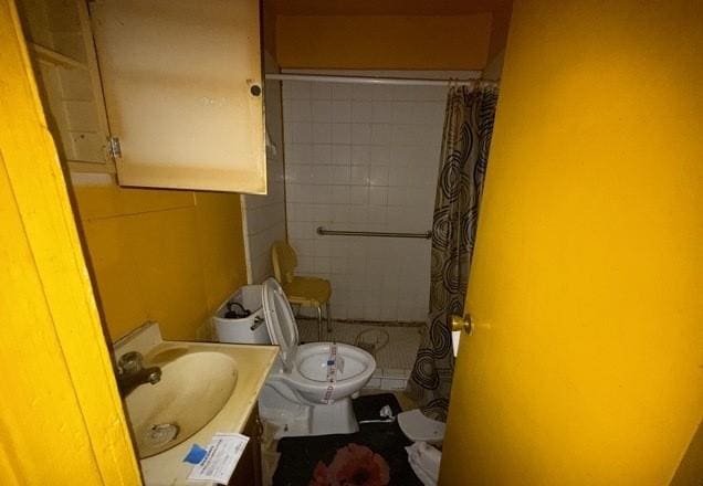 full bathroom featuring toilet, vanity, and a shower with shower curtain
