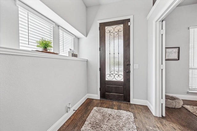 foyer with baseboards, wood finished floors, and a wealth of natural light