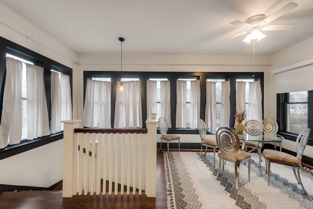 dining area with wood finished floors and a ceiling fan