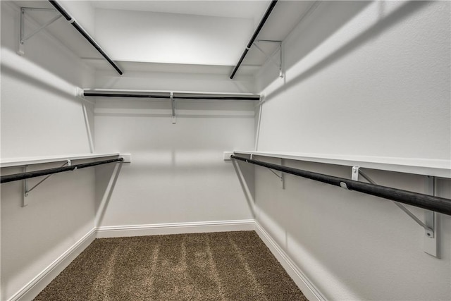 10169 Budtime Ln, Dallas, TX 75217 - walk in closet featuring carpet floors