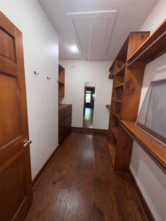 spacious closet featuring attic access and dark wood-style floors