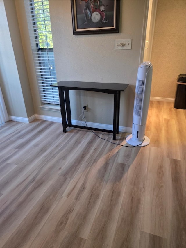 interior details featuring baseboards and wood finished floors