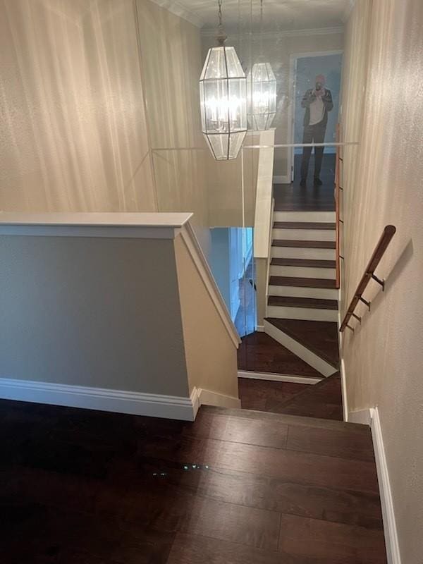 stairs featuring ornamental molding, an inviting chandelier, hardwood / wood-style floors, and baseboards