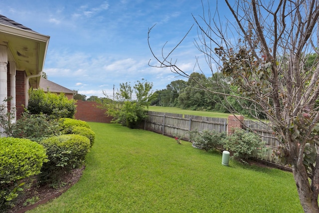 view of yard with a fenced backyard