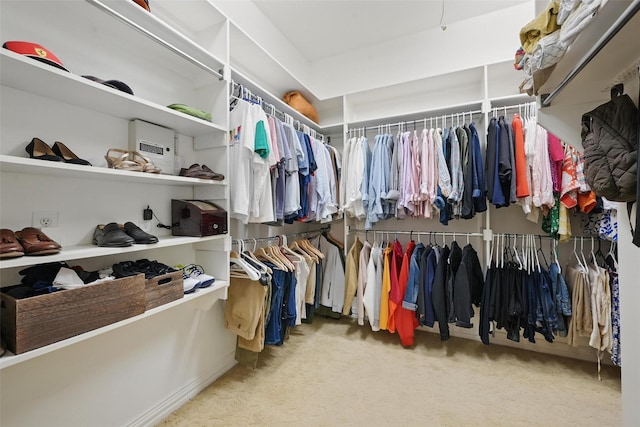 619 Uvalde Ct, Allen, TX 75013 - spacious closet featuring carpet flooring