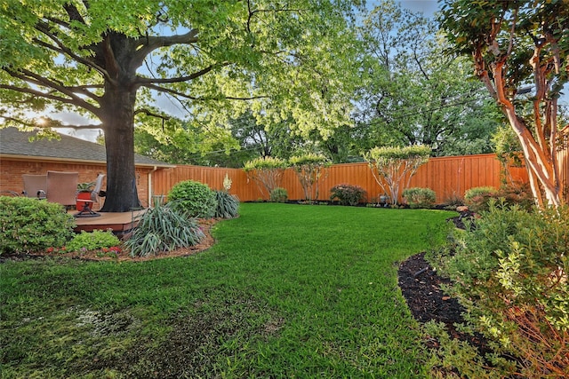 view of yard with a fenced backyard
