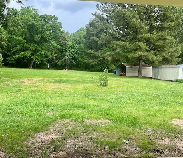 view of yard featuring an outbuilding and a detached carport