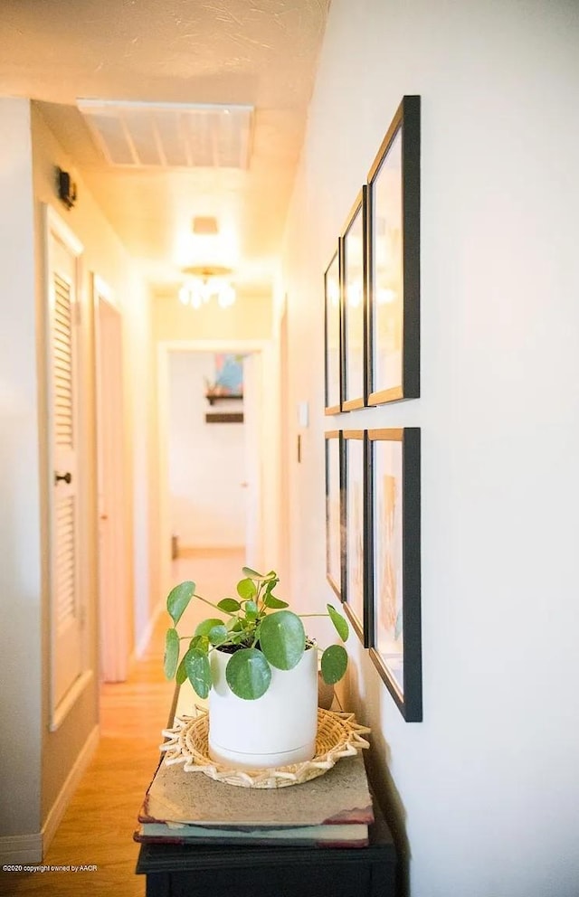 509 W 3rd St, Claude, TX 79019 - corridor featuring visible vents, light wood-style flooring, and baseboards