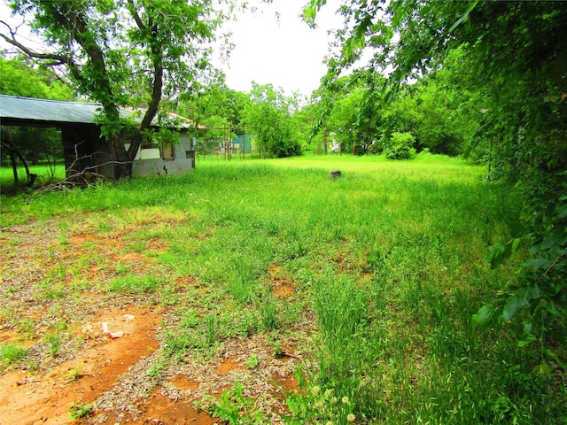316 Tennessee St, Graham, TX 76450 - view of yard