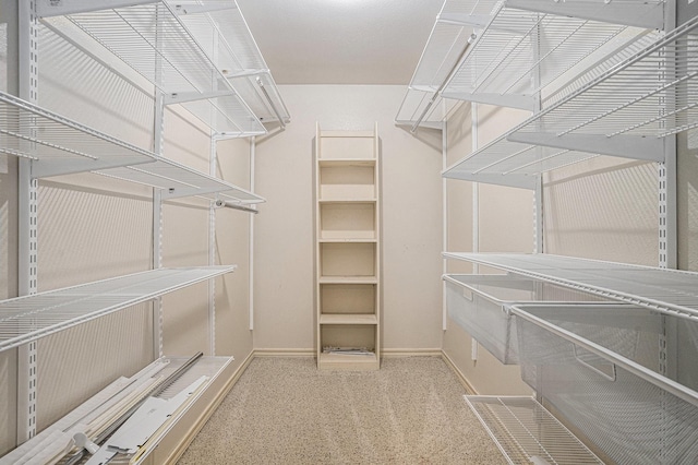 7324 Old Mill Run, Fort Worth, TX 76133 - walk in closet featuring carpet flooring