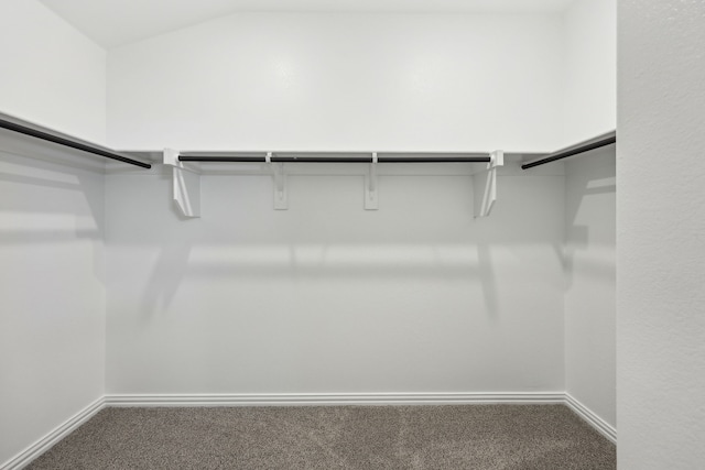 walk in closet featuring carpet floors and vaulted ceiling