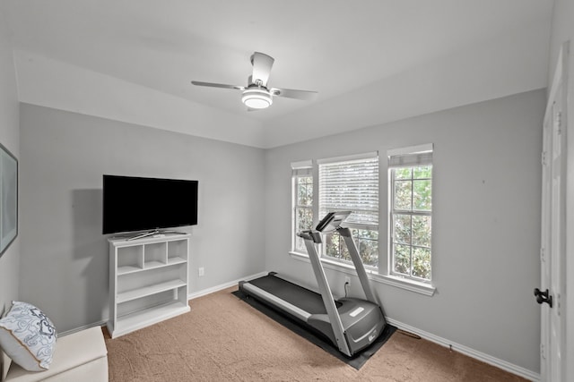 exercise area featuring ceiling fan, baseboards, and carpet floors