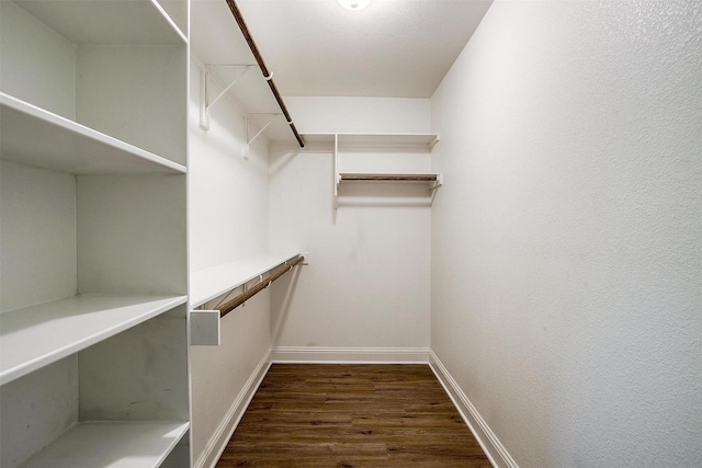 walk in closet featuring wood finished floors