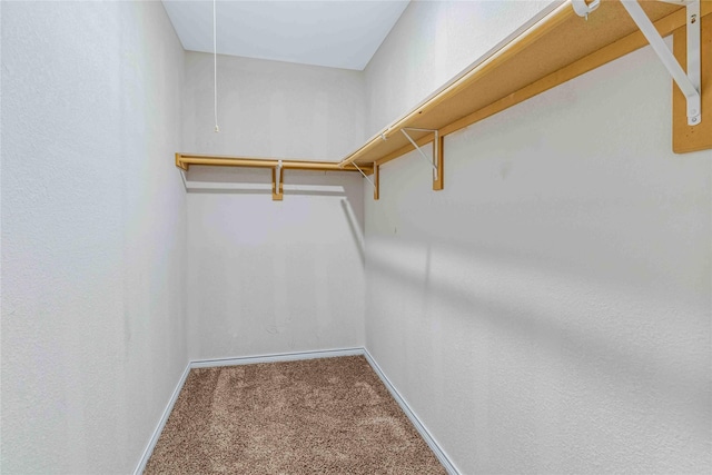 spacious closet with carpet flooring