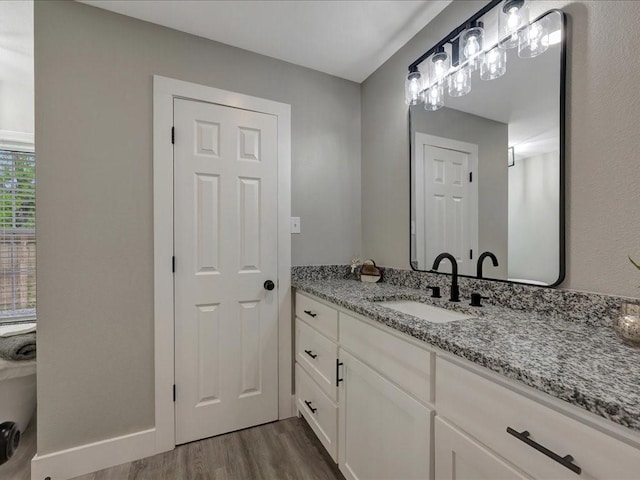 bathroom featuring wood finished floors and vanity