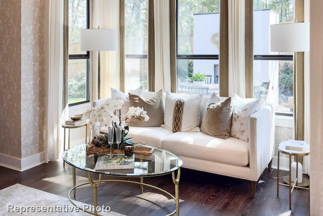 living area featuring wood finished floors, a healthy amount of sunlight, and baseboards