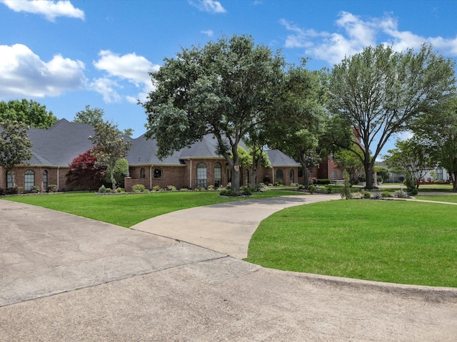 single story home featuring curved driveway, a front lawn, and brick siding