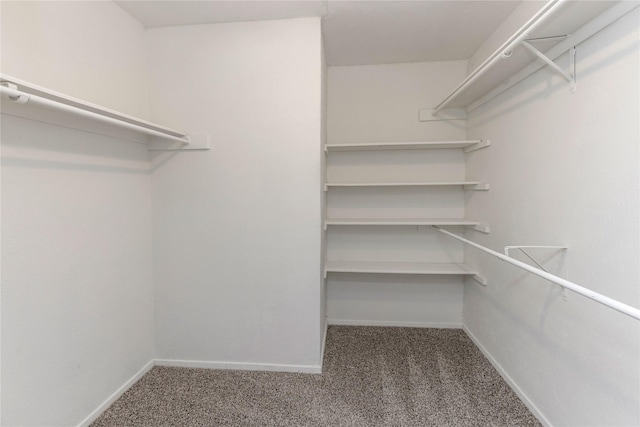 spacious closet featuring carpet flooring