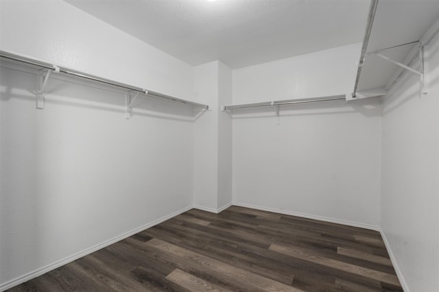 13140 Fencerow Rd, Fort Worth, TX 76244 - walk in closet featuring wood finished floors