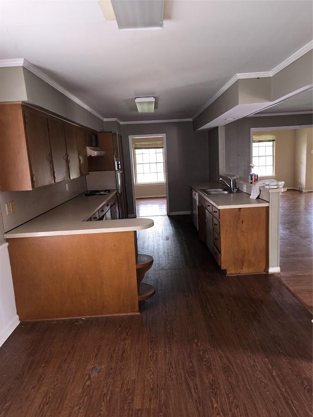 kitchen featuring a wealth of natural light, a peninsula, and a sink