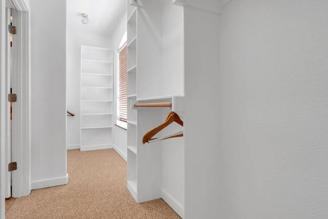 6107 Grande Cove Ct, Granbury, TX 76049 - spacious closet with carpet flooring