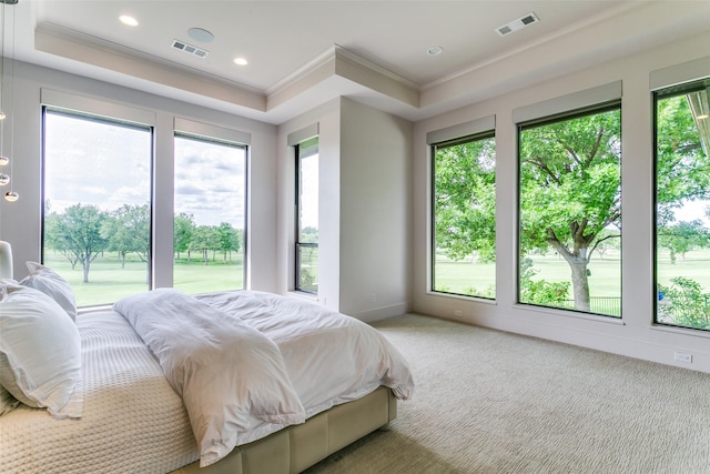 1505 Cottonwood Valley Cir N, Irving, TX 75038 - carpeted bedroom featuring ornamental molding and recessed lighting
