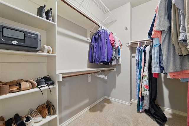 walk in closet featuring carpet flooring