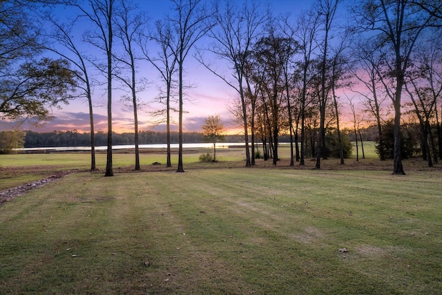 view of yard at dusk