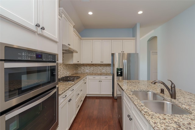 3017 Bella Lago Dr, Denton, TX 76210 - kitchen with appliances with stainless steel finishes, a sink, dark wood finished floors, tasteful backsplash, and under cabinet range hood