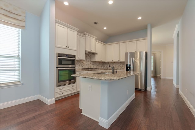 3017 Bella Lago Dr, Denton, TX 76210 - kitchen featuring decorative backsplash, under cabinet range hood, a sink, a wealth of natural light, and stainless steel appliances